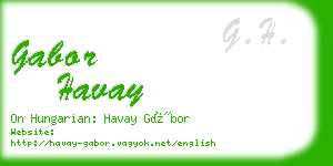 gabor havay business card